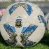 Fuerte advertencia de la Liga Profesional por el estado de los campos de juego