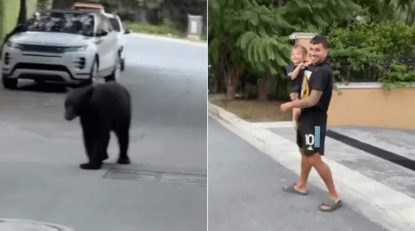Increíble: Ángel Correa se cruzó con un oso en las calles de México