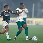 Fluminense vs. Palmeiras